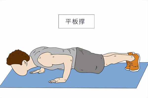 平板支撑锻炼什么部位