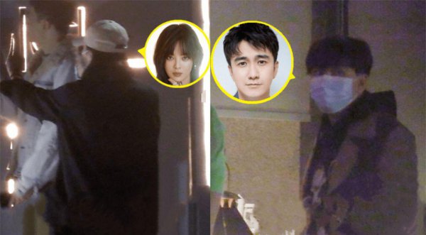 演员辛芷蕾老公是谁