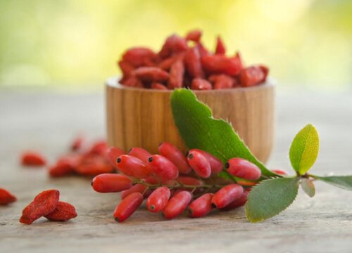 枸杞可以泡水喝吗