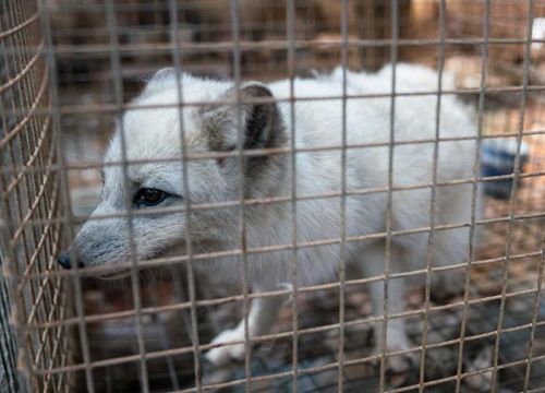 2023年养殖业什么最赚钱