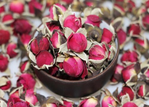 玫瑰花是热性还是凉性的