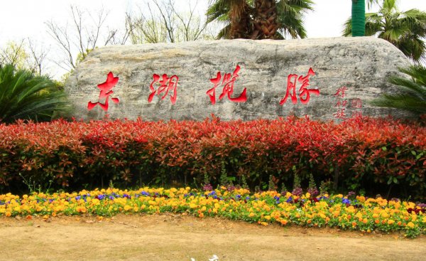 武汉面积有多大