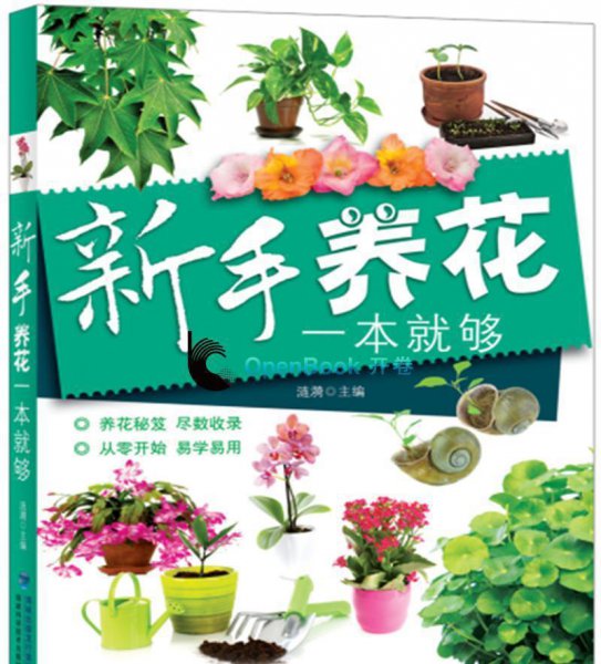 送母亲什么礼物最实用简单