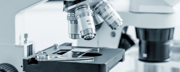 显微镜的正确使用步骤