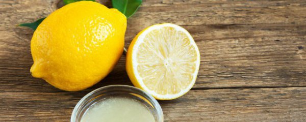 柠檬什么季节种植合适