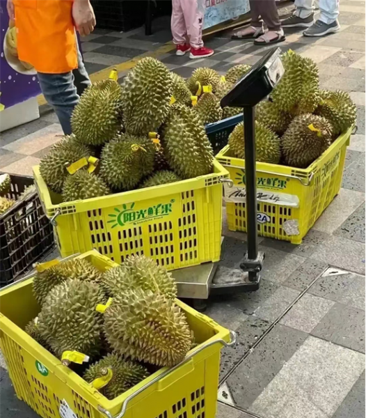 卖榴莲有多少利润