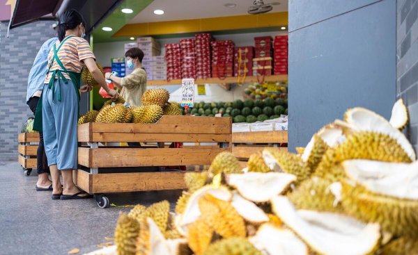 卖榴莲有多少利润