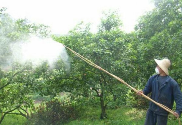 苹果树如何浇水方式好