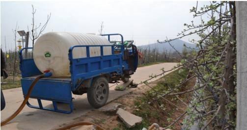 苹果树如何浇水方式好