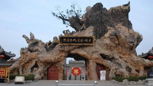 山西大槐树是哪个市哪个县