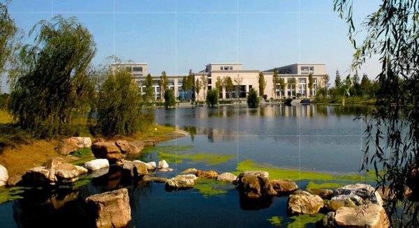 西南财经大学是985还是211学校