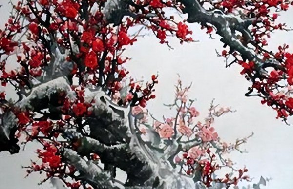 梅花魂的主要内容