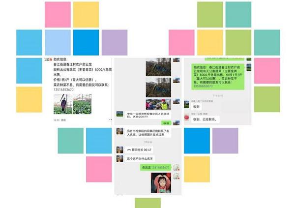 菜农滞销青菜被认购