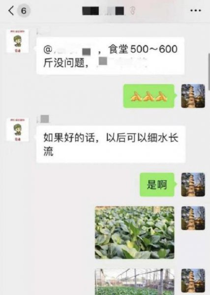 菜农滞销青菜被认购