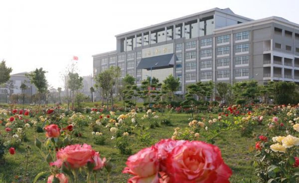 焦作大学是本科吗