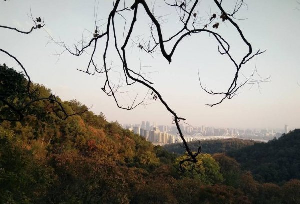 杭州有什么山的风景比较出名