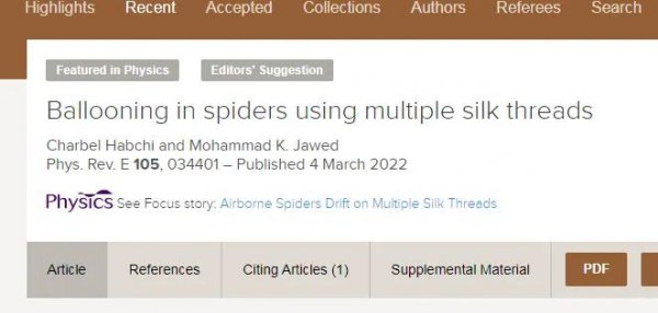 世界上还有会飞的蜘蛛