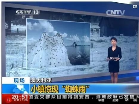 世界上还有会飞的蜘蛛