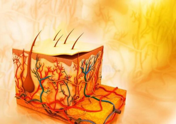 精华液使用方法