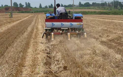 玉米每亩种多少株最高产