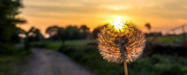 励志正能量经典短句早安