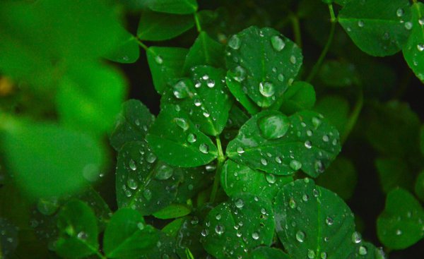 回潮天气是开窗还是关窗