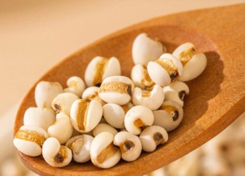 薏米什么时候收获收割