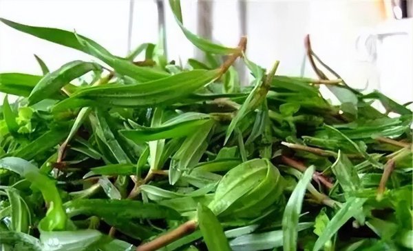 江苏连云港特产有哪些值得购买