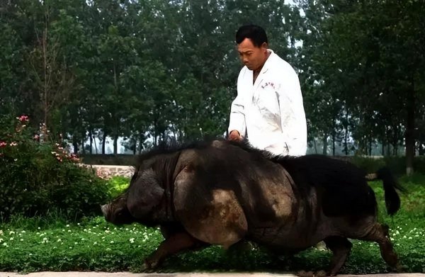 江苏连云港特产有哪些值得购买