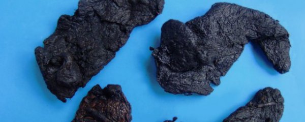 熟地有什么功效