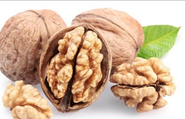 新疆的特产是什么都有哪些