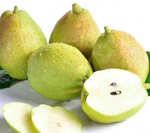 新疆的特产是什么都有哪些