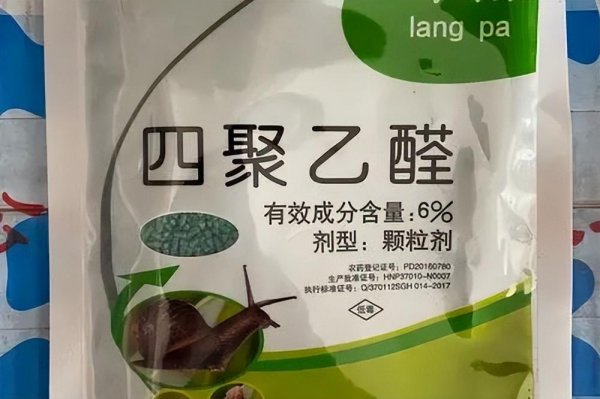 蜗牛生活在什么地方