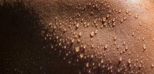 大象的耳朵有什么作用