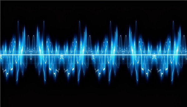 大象的耳朵有什么作用