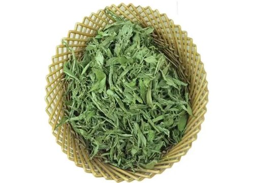 甜叶草有什么作用