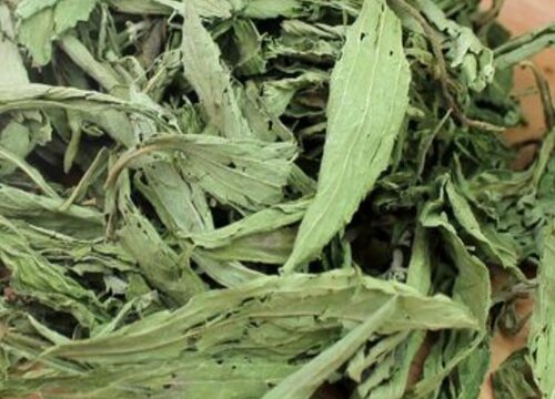 甜叶草有什么作用