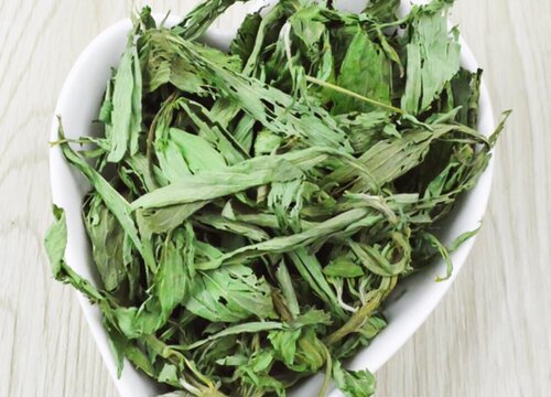 甜叶草有什么作用