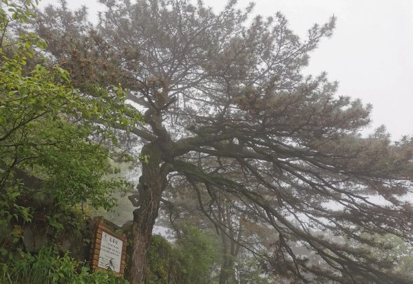 湖北的旅游景点有哪些地方