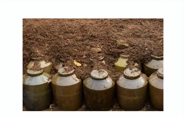 推荐几款适合长期保存的白酒