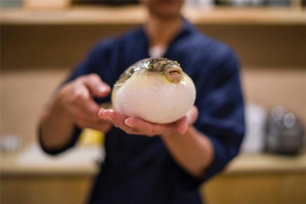 河豚为什么有毒