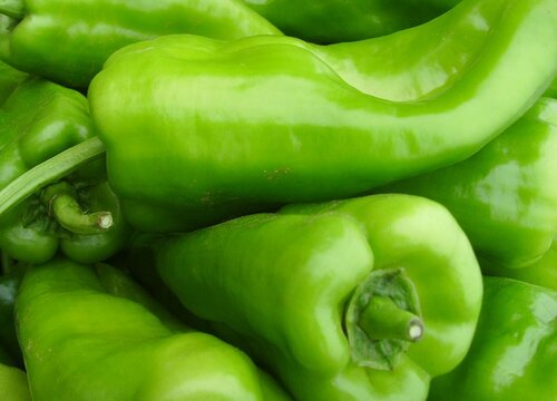 青椒含糖量高吗