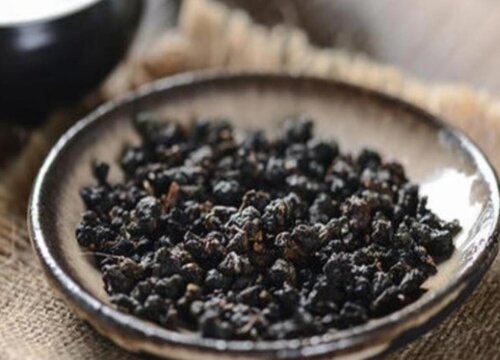 乌龙茶哪里产的最好