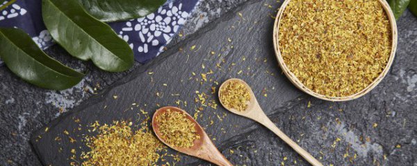 八月桂花树怎么养才长得好呢