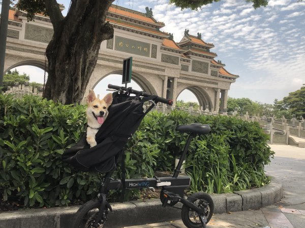 折叠自行车优缺点有哪些