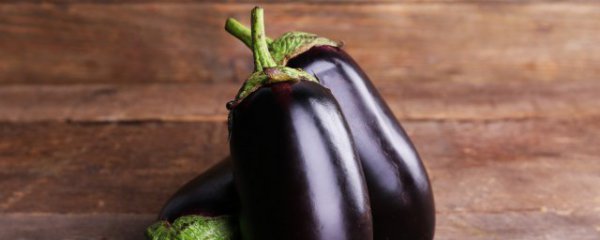 茄子怎样识别新鲜