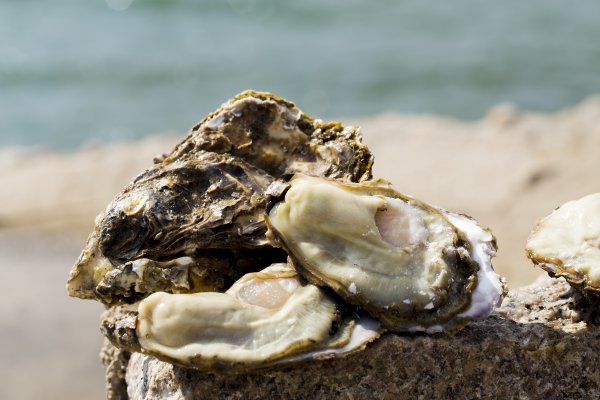 李锦记和海天哪个好