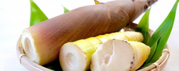 怎样挑选春笋最好吃