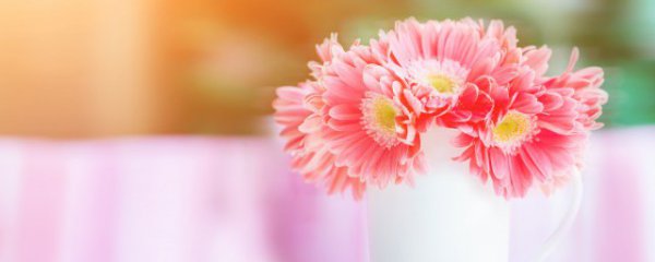 摘的鲜花如何保鲜储存