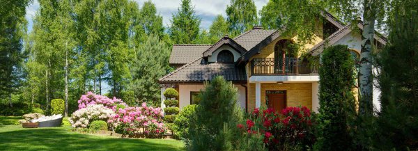 裸婚是什么意思